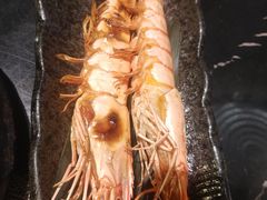 -大葉日本料理·龍蝦任食放題(廣州W酒店)