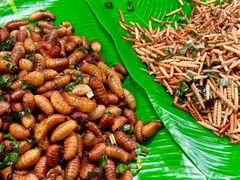 -席娜卡琳火车铁道夜市