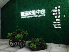 -证大喜玛拉雅中心