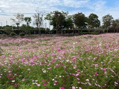 -歌斐颂巧克力小镇