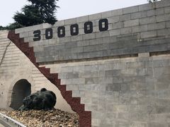 -侵华日军南京大屠杀遇难同胞纪念馆