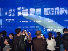 -泉城欧乐堡海洋极地世界