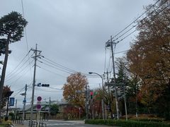 -井之头恩赐公园