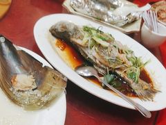 -鸿达渔港