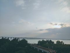 -宝安西湾红树林湿地公园