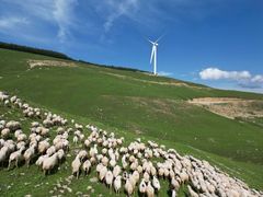 -塞罕坝国家级自然保护区