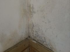 iphone_upload_pic-厦门市思明区第柒天旅馆