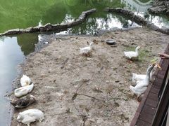 -宣武艺园