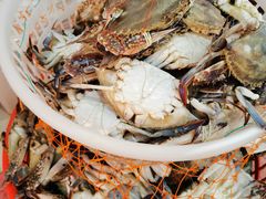 -东方国际水产中心