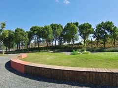 -春花秋色城市公园