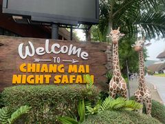 -清迈夜间动物园