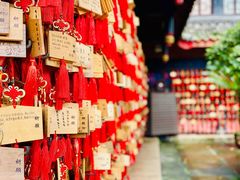 -峨眉山报国寺