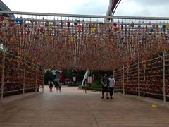 -七彩云南欢乐世界