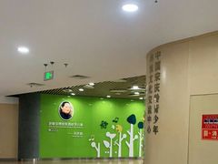 -中国宋庆龄青少年科技文化交流中心