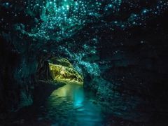 -怀托摩萤火虫洞