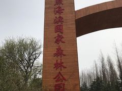 -日照海滨国家森林公园