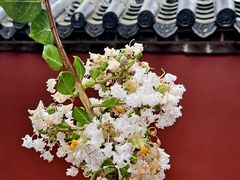 -泰山风景名胜区-普照寺