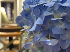 -囿面传统制面馆(中央路店)
