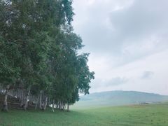 -乌兰布统草原