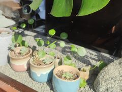 -川匠·睡眠采耳·SPA(九眼桥店)