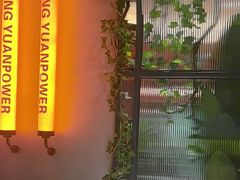 -鼎原力量东北吊炉烧烤(临河街店)