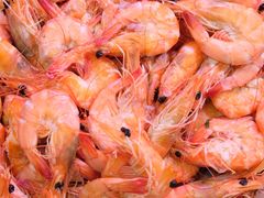 -龙眼南白粥六顺白粥