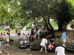 -成都市活水公园