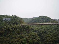 -川西竹海景区