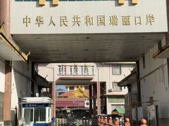 -金螃蟹