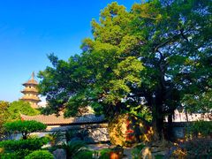 -乌山风景区