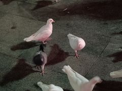 -万达广场(广州番禺店)