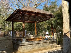 -春晖园度假酒店温泉