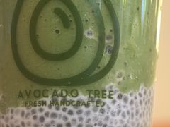 -油梨树 AVOCADO TREE(亮马桥店)