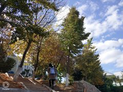 -中国海洋大学（崂山校区）-图书馆