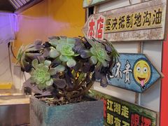 -傅强排骨(成都总店)