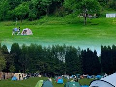 -武陵山森林公园