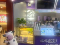 -一只酸奶牛(摩根吾悦广场店)