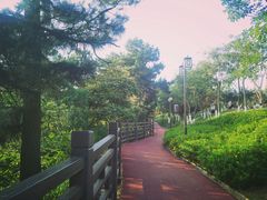 -铁山坪森林公园