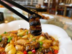 -千岛湖小鱼儿·淳安匠心农家菜