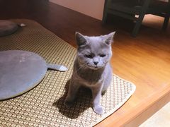 -尹记餐馆(花园店)