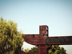 -溱湖国家湿地公园