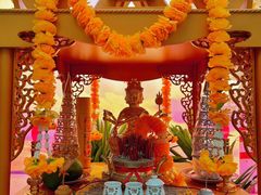 -泰妃殿(武汉首店)