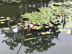 -星巴克(深圳前海企业公馆店)