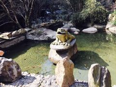 金蟾-太湖源风景区