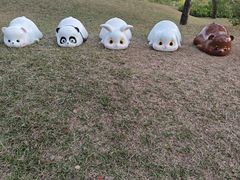 -云溪植物园