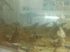 -巽寮印象美食部落餐厅·海鲜·地方特色菜(惠州体验店)