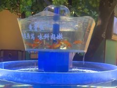 -佬麻雀·剁椒鱼头(京基KK One店)