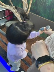 -未来动物城动物主题公园(大悦城店)