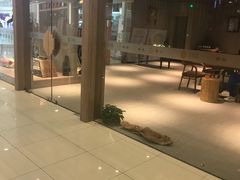 -新田360广场(上海华侨城店)