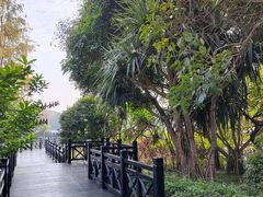 -海珠湖公园